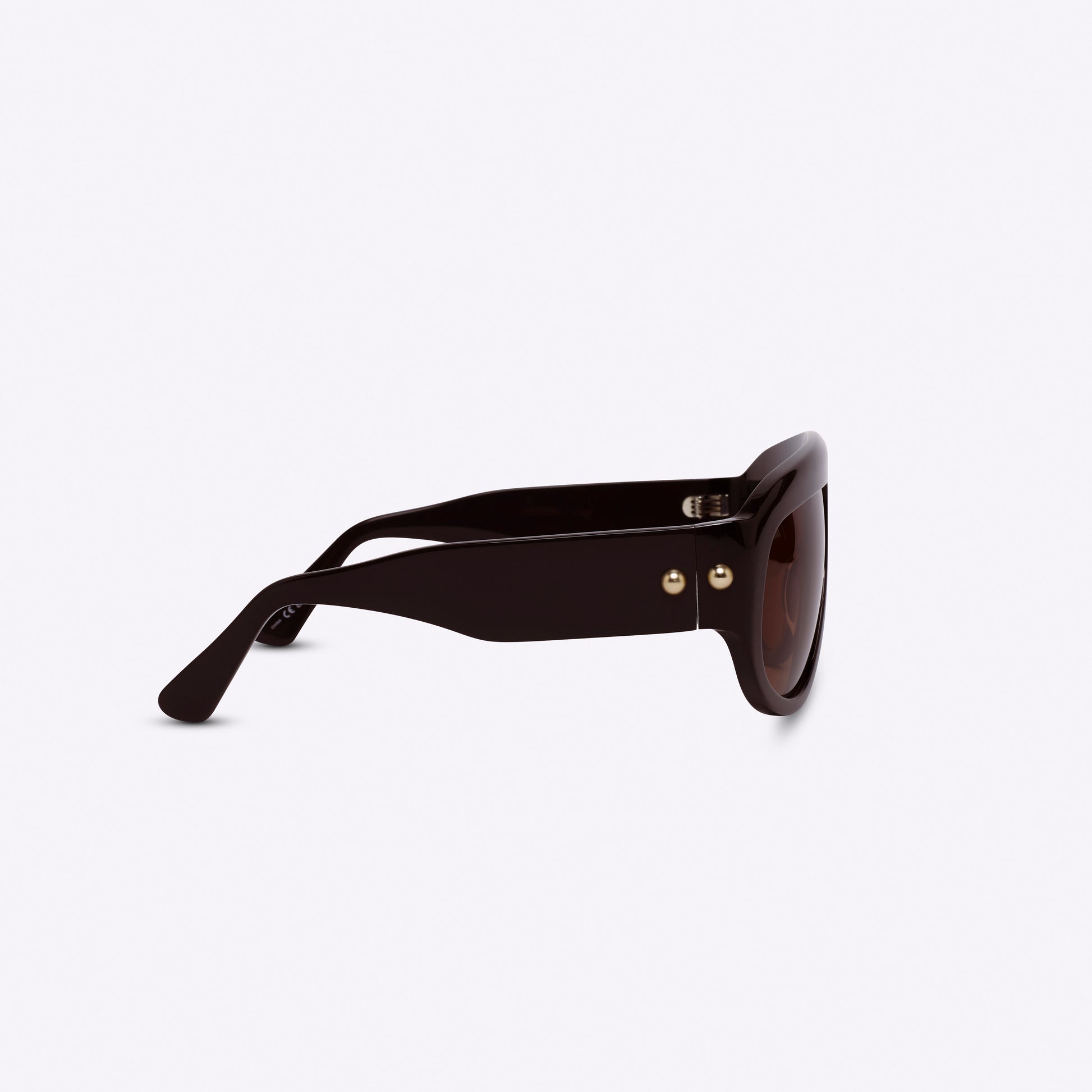 Brown oversized aviator sunglasses with bold acetate frame – temple detail on white background